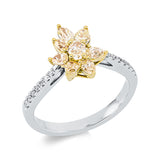 Ring 18 kt WG+GG, 14 Brill. 0,09 ct, TW-si, 8 Fant-Schl. 0,78 ct, gelb