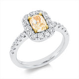 Ring 18 kt WG+GG+PT95, 24 Brill. 0,63 ct, TW-vsi, 1 Cushion 1,01 ct, gelb