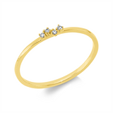 Ring 18 kt GG, 2 Dia. 0,02 ct, TW-si, 2 Dia. 0,01 ct, TW-si
