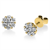 Ohrstecker 14 kt GG, 2 Brill. 0,17 ct, TW-si, 12 Brill. 0,67 ct, TW-si