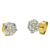 Ohrstecker 18 kt GG, 14 Brill. 0,56 ct, TW-si