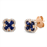Ohrstecker 14 kt RG, 40 Brill. 0,10 ct, F-si, 10 Saphire 0,48 ct blau