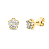 Ohrstecker 18 kt GG, 12 Brill. 0,31 ct, TW-si
