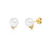Ohrstecker 18 kt GG, 6 Brill. 0,05 ct, W-si, 2 SW weiß 7,5 mm