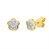 Ohrstecker 18 kt GG, 12 Brill. 0,53 ct, TW-si